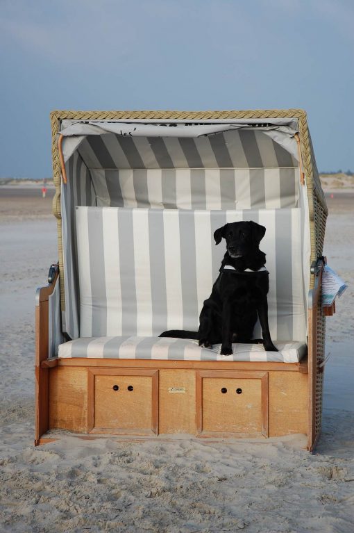 Urlaub mit Hund an der Nordsee in St. Peter Ording