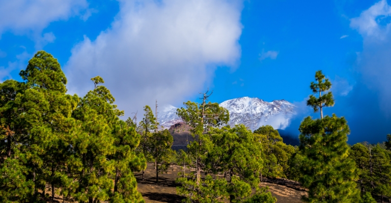 Vulkan Chinyero auf Teneriffa