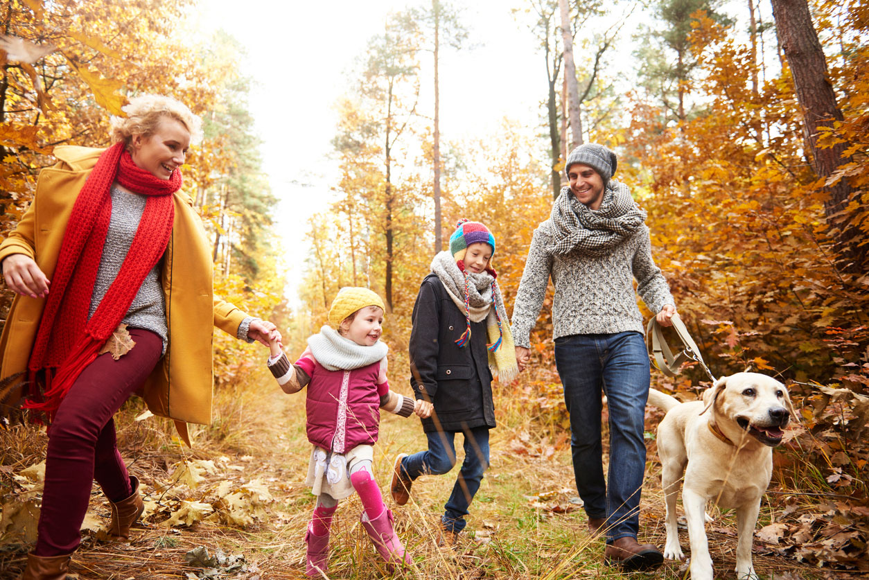 Wandern Im Herbst Mit Kindern Tipps Fur Den Herbstausflug Galeria Reisen Magazin