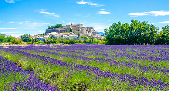 Provence Urlaub Mit Galeria Reisen Nach Frankreich